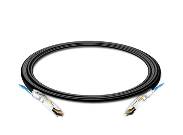 QSFP56 200G InfiniBand Twinax cable Passive DAC HDR 